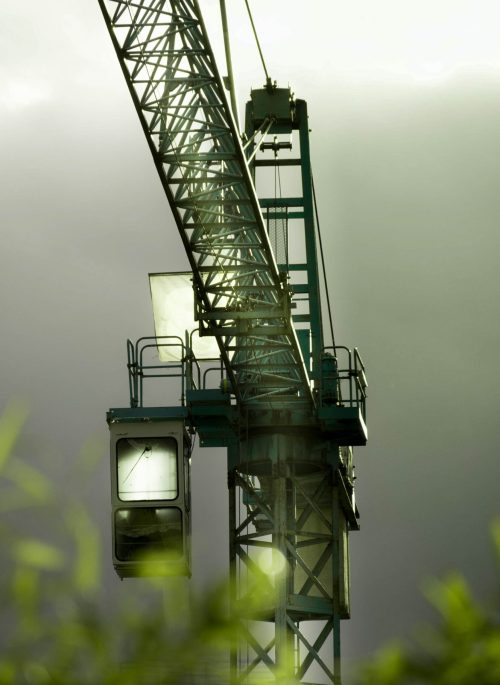 crane